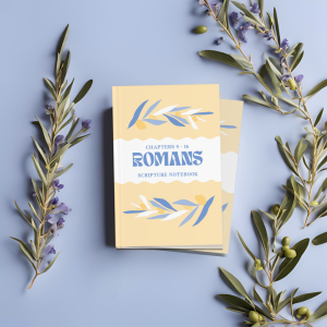 Romans Scripture Notebook: Chapters 9 - 16