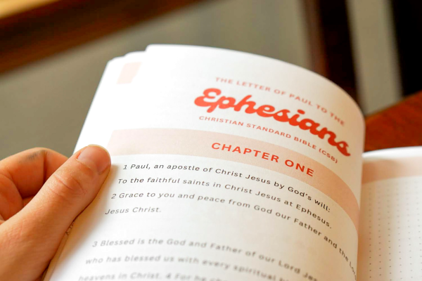 Ephesians Scripture Notebook - Summer - Image 2
